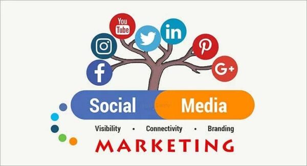 Basic Package/Social Media Marketing